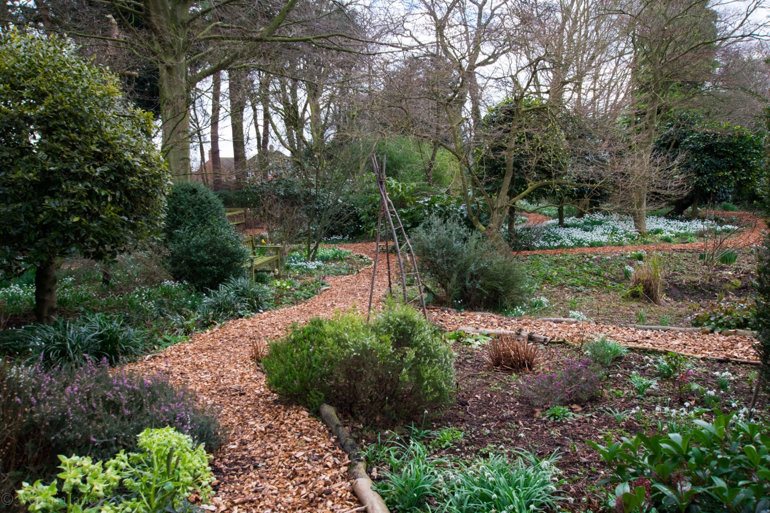 King's Arms Garden, Ampthill, Bedfordshire, MK45 2PP National Garden